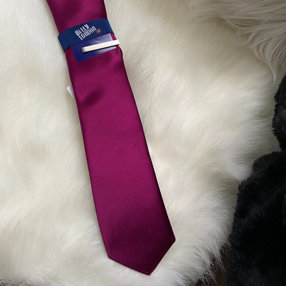 Satin Solid Necktie With Silver Clip - image 1